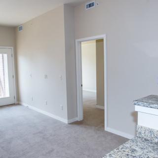 Bright empty room with carpeted flooring and a doorway.