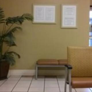 A quiet waiting room with a bench, potted plant, and framed artwork on the wall.