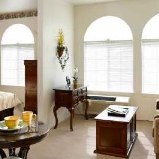 A cozy living room with elegant furniture and large arched windows allowing natural light in.