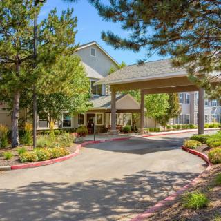 A sunny day at a building entrance with landscaped surroundings and a circular driveway.