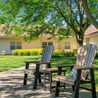 A tranquil outdoor setting with chairs under a tree near a building.