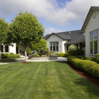 A beautifully landscaped yard with a well-maintained lawn and modern house.