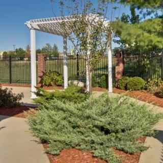 A serene garden featuring a white pergola surrounded by lush greenery and a paved pathway.