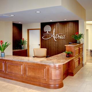 A welcoming reception area with a wooden desk and decorative plants.