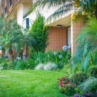 A lush green garden with a variety of plants and shrubs outside a building.