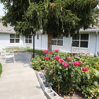 A beautiful garden with blooming flowers and a pathway leading to a house.