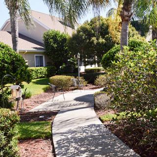 A sunny garden pathway leading to a house, surrounded by lush landscaping and palm trees.
