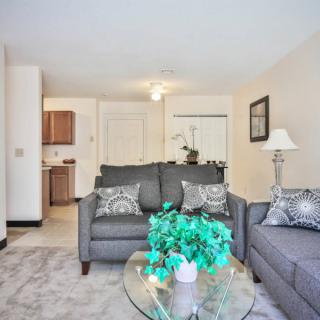 A spacious living room with gray sofas, a glass coffee table, and decorative elements.