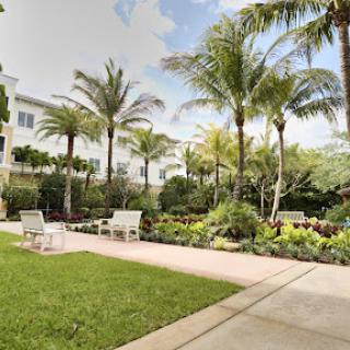 A serene garden space featuring palm trees and seating areas, perfect for relaxation.