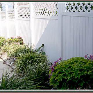 A tidy garden with various plants along a white lattice fence.