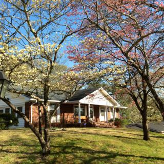 A charming house surrounded by spring-blooming trees under a clear blue sky.