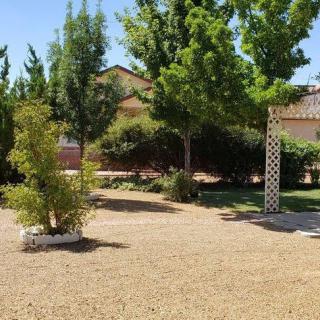 A sunny garden landscape with trees, a house in the background, and a gravel pathway.