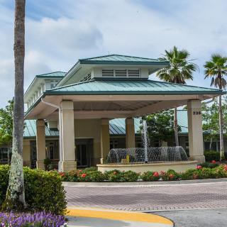 A building entrance with a covered canopy and surrounding palm trees.