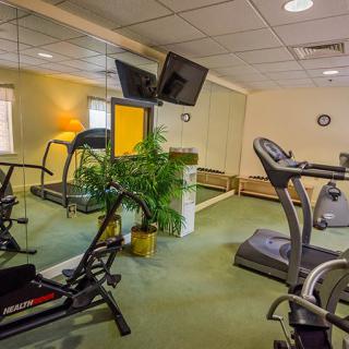 A small fitness room with exercise equipment including treadmills and a stationary bike, enhanced by a large mirror and a potted plant.
