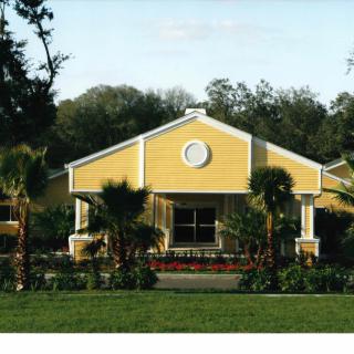 A yellow residential house surrounded by palm trees and greenery.