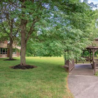 A tranquil outdoor scene with lush trees, a wooden gazebo, and a grassy lawn adjacent to a building.