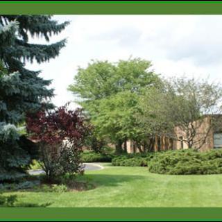 A picturesque suburban garden with well-maintained lawn and diverse trees.