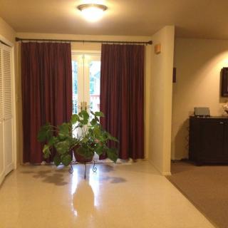 A cozy living room with an indoor plant near a window covered by dark curtains.