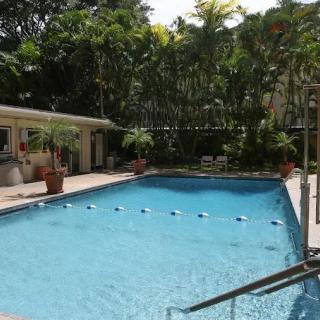 A tranquil outdoor swimming pool surrounded by lush tropical greenery.