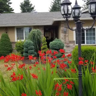 A charming house surrounded by vibrant red flowers and lush greenery.