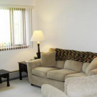 A cozy living room with a beige sofa, lamp, and window.