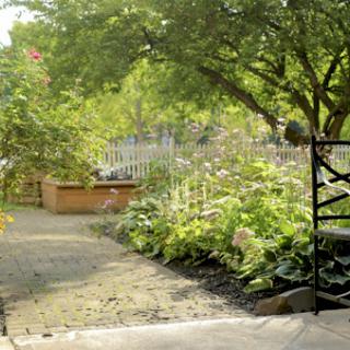 A tranquil garden pathway surrounded by lush plants and a shaded tree, inviting relaxation.