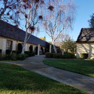 A serene view of a landscaped pathway lined with trees, leading through a charming residential area.