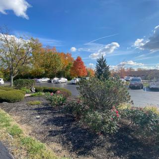 A scenic view showcasing vibrant autumn foliage against a clear blue sky, with a parking lot in the background.