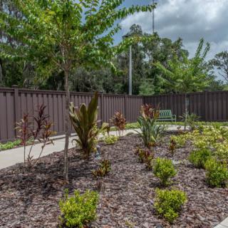 A landscaped garden featuring a variety of plants and shrubs, with a pathway and wooden fence in the background.