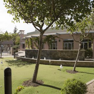 A serene garden with lush greenery, fountains, and a modern building in the background.