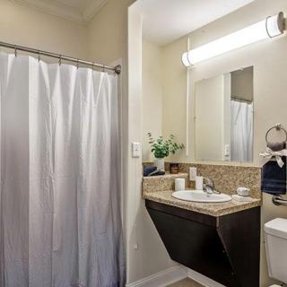 A modern bathroom with a shower curtain, vanity sink, and mirror under bright lighting.