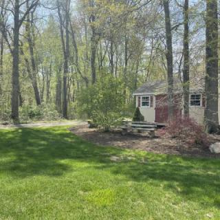 A cozy cabin nestled among tall trees and lush greenery in a tranquil forest setting.