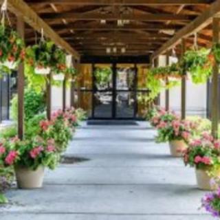 A beautifully decorated walkway with hanging plants and flower pots leading to an entrance.