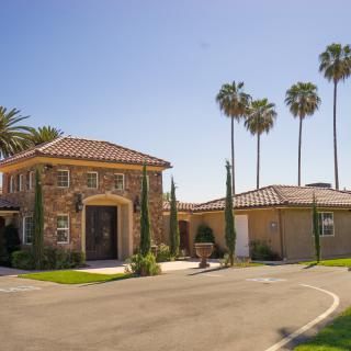 A luxurious house with palm trees on a sunny day.