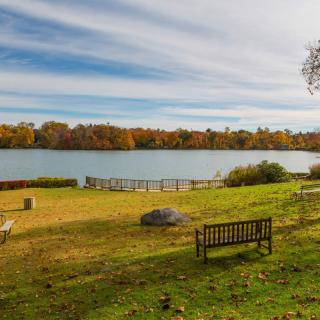 A serene autumn landscape featuring a lake surrounded by colorful trees, with benches scattered in a peaceful park setting.