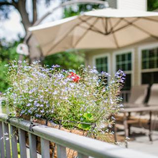 A serene outdoor space adorned with vibrant flowers and comfortable seating, perfect for enjoying a sunny day.