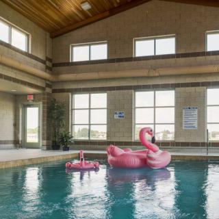 An indoor swimming pool with large windows and a pink inflatable flamingo float.