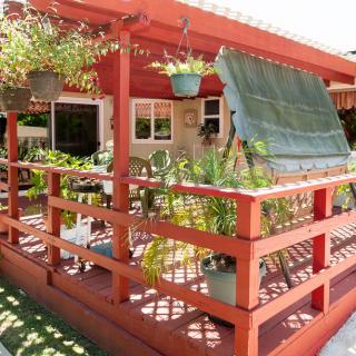 A charming wooden deck adorned with various hanging and potted plants, basking in sunlight.