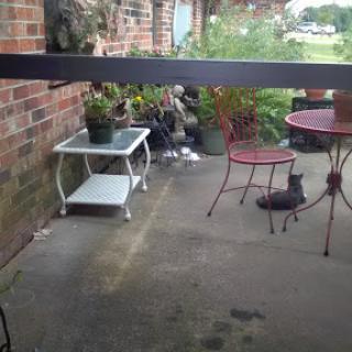 A cozy outdoor patio area with plants and furniture.