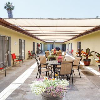 A spacious outdoor patio with tables, chairs, and plants under a shaded canopy.