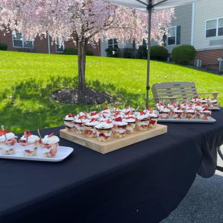 A delightful outdoor dessert setup featuring cupcakes under cherry blossom trees.
