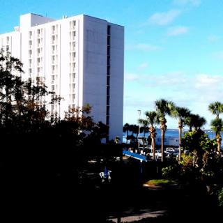 A hotel building surrounded by palm trees with a view of the ocean under a clear blue sky.