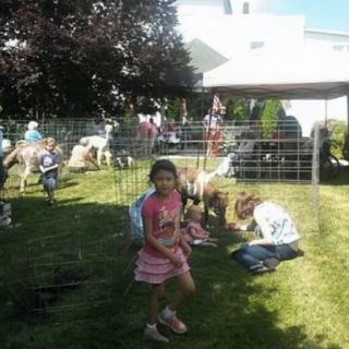 A group of children interacting with animals in a fenced petting zoo area outdoors.