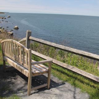 A peaceful wooden bench overlooking the calm waters of the coastline.