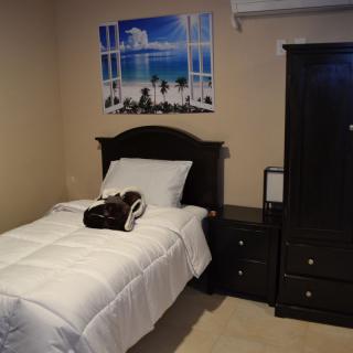 A cozy bedroom with a single bed, white bedding, and beach-themed wall art.
