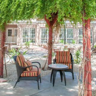 A peaceful garden setting with chairs under an ivy canopy, perfect for relaxation.