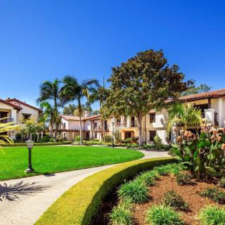A landscaped residential area with a pathway, greenery, and palm trees under a clear blue sky.