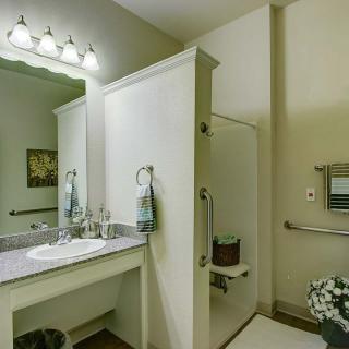An accessible bathroom with a mirror, sink, and walk-in shower equipped with handrails.
