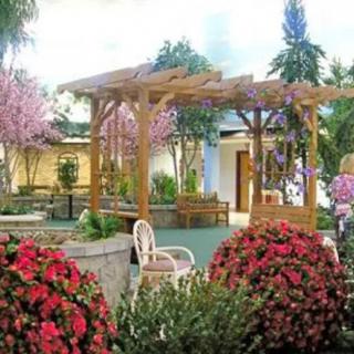 A serene garden setting featuring a wooden pergola surrounded by vibrant flowers and lush greenery.