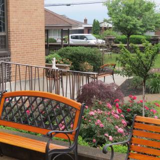 A peaceful garden scene with wooden benches and vibrant flowers.